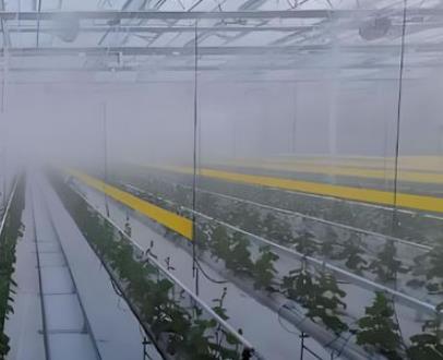 Cooling and Humidification Systems in Greenhouses