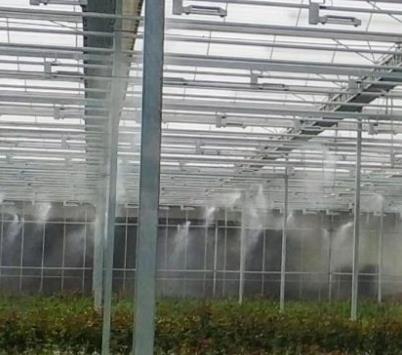 Misting and Humidification in Greenhouse