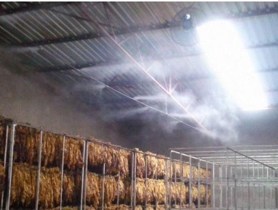 Tobacco Moisture Control